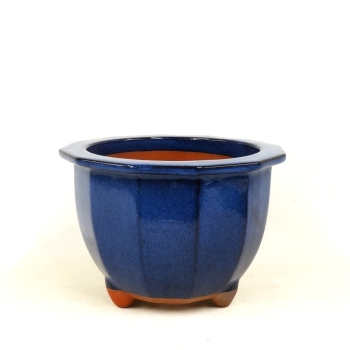 Halbaskadenschale PY-17/23cm, blau